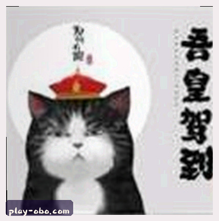 赵雪